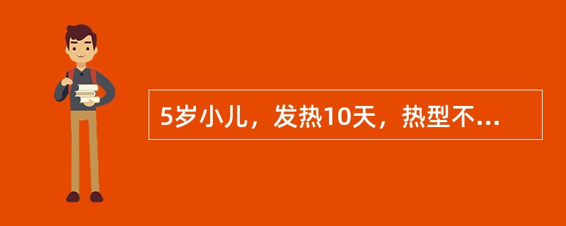 5岁小儿，发热10天，热型不定，伴刺激性咳嗽，咳出少量黏稠痰。查体：精神尚可，双