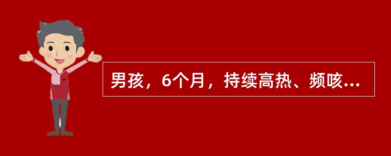 男孩，6个月，持续高热、频咳3天。近2日气促加重，精神萎靡。今晨全身发作性抽搐3