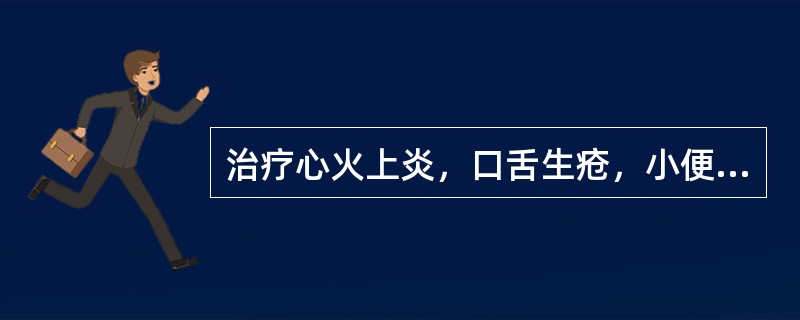 治疗心火上炎，口舌生疮，小便不利病证。首选药物是（）。