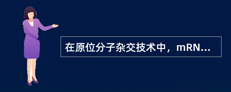 在原位分子杂交技术中，mRNA的定位时选用的固定剂是（）。