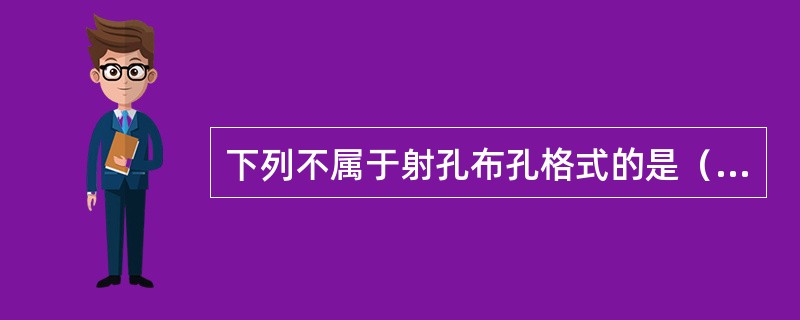 下列不属于射孔布孔格式的是（）。