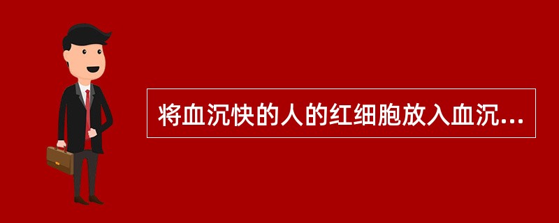 将血沉快的人的红细胞放入血沉正常人的血浆中，红细胞的沉降率（）。