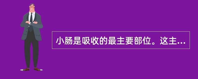 小肠是吸收的最主要部位。这主要与小肠的哪项特点有关（）。