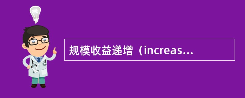 规模收益递增（increasing returns to scale）