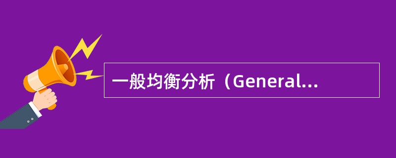 一般均衡分析（General equilibrium analysis）