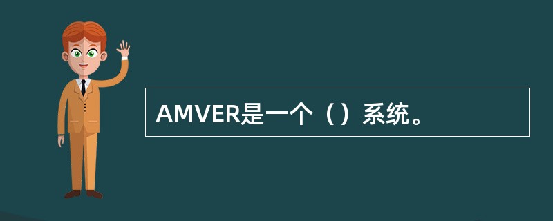 AMVER是一个（）系统。