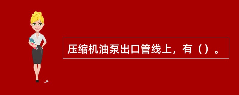 压缩机油泵出口管线上，有（）。