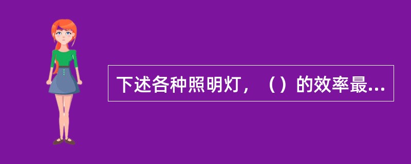 下述各种照明灯，（）的效率最高。