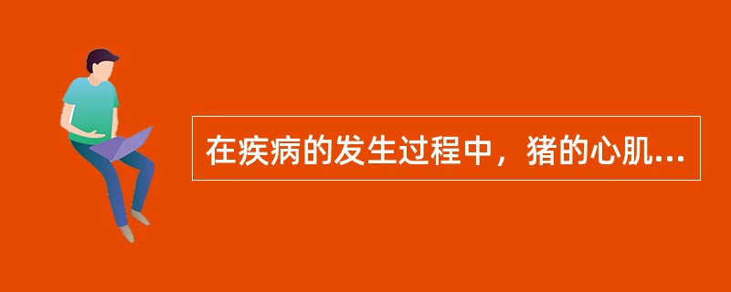 在疾病的发生过程中，猪的心肌炎病变通常不会发生在（）