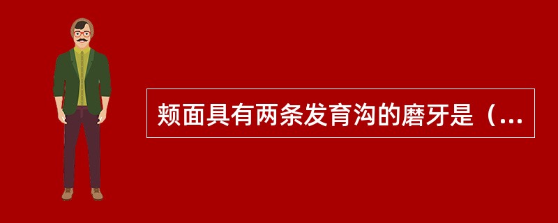 颊面具有两条发育沟的磨牙是（）。