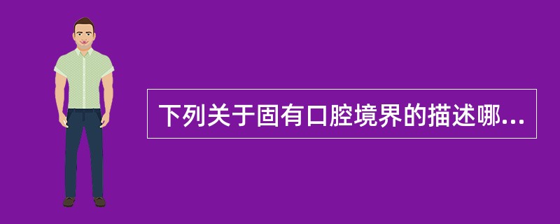 下列关于固有口腔境界的描述哪一项是错误的（）。