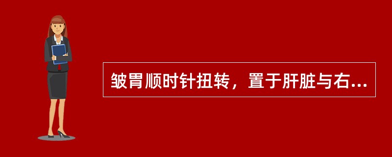 皱胃顺时针扭转，置于肝脏与右腹壁之间，称为（）。