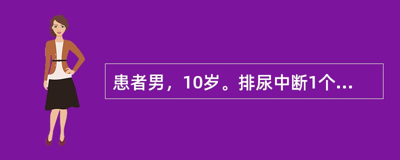 患者男，10岁。排尿中断1个月，伴下腹部疼痛，放射至阴茎头，跳跃活动后又可排尿，