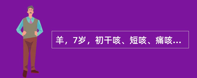 羊，7岁，初干咳、短咳、痛咳，后为长咳、湿咳，鼻孔流黏脓性鼻液，肺泡呼吸音增强，
