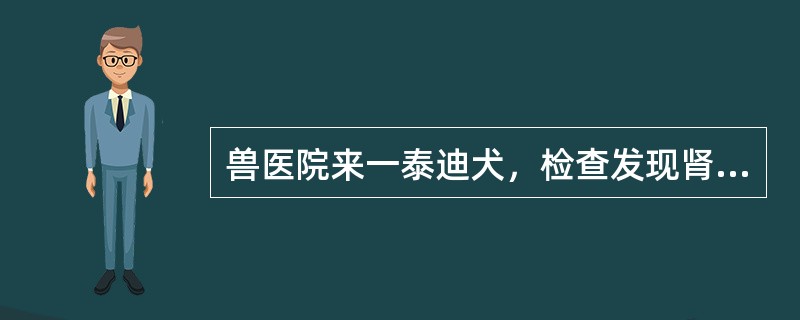 兽医院来一泰迪犬，检查发现肾区敏感，病犬频频排尿，血尿，显微镜下观察可见尿沉渣中