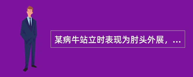 某病牛站立时表现为肘头外展，取前高后低姿势；运步时表现为步样强拘，愿走软路而不愿