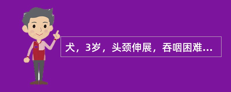 犬，3岁，头颈伸展，吞咽困难，流涎，呕吐，流出有食糜、唾液的鼻液。咽部触诊疼痛不
