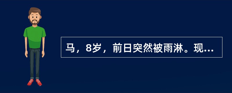 马，8岁，前日突然被雨淋。现头颈伸展，呼吸困难，初胸部叩诊敏感，可闻摩擦音，干、