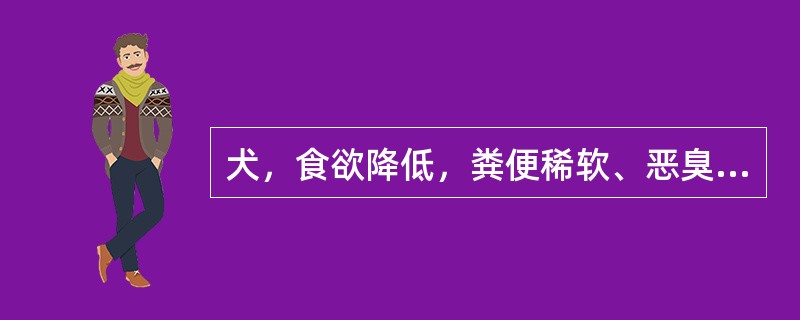 犬，食欲降低，粪便稀软、恶臭，尿色黄，皮肤及结膜黄染，触诊肝区疼痛，叩诊肝浊音区