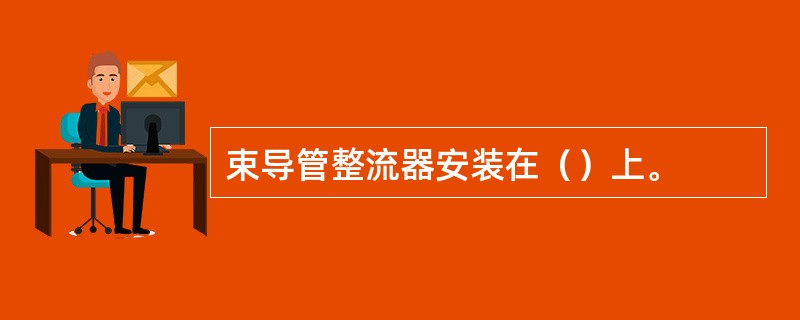 束导管整流器安装在（）上。