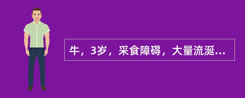 牛，3岁，采食障碍，大量流涎，口黏膜红肿，口温增高，有水疱。可能的诊断是（）