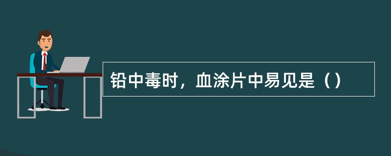 铅中毒时，血涂片中易见是（）