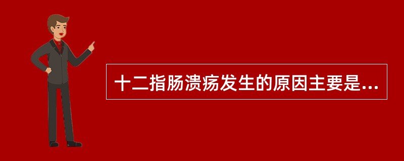 十二指肠溃疡发生的原因主要是（）。