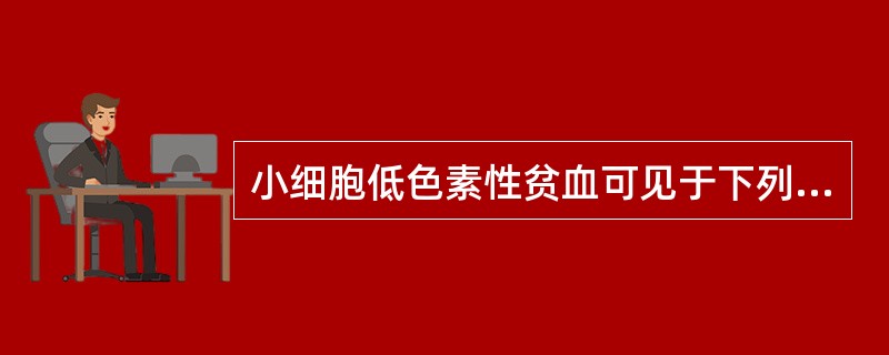 小细胞低色素性贫血可见于下列疾病，但除外()