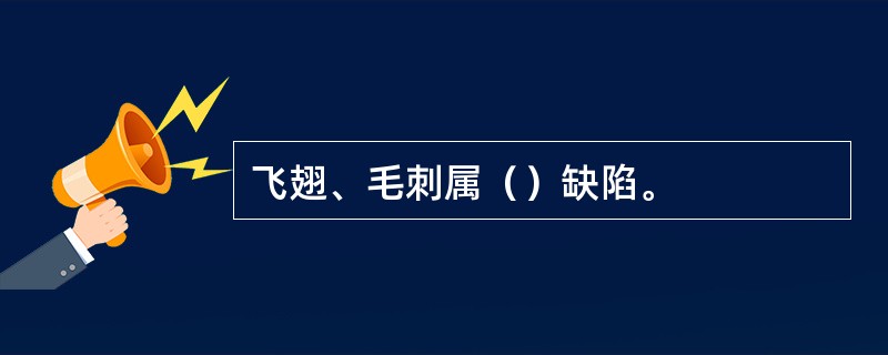 飞翅、毛刺属（）缺陷。