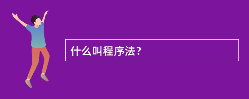 什么叫程序法？