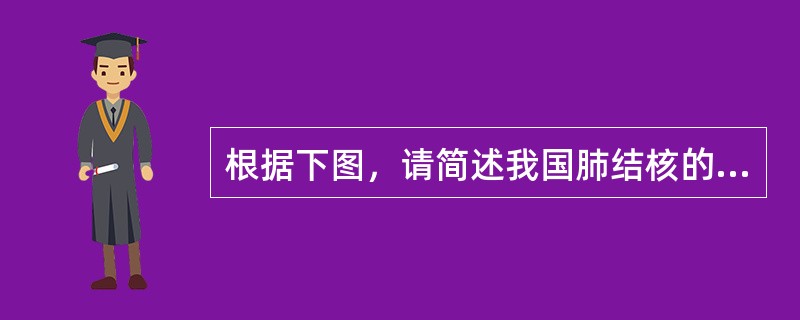 根据下图，请简述我国肺结核的五大分类及其X线表现。