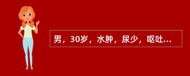 男，30岁，水肿，尿少，呕吐2个月，血压160/100mmHg，尿蛋白（+++）