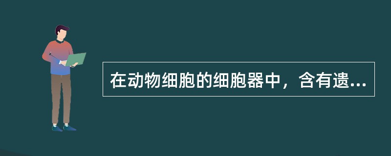 在动物细胞的细胞器中，含有遗传物质的细胞器是（）