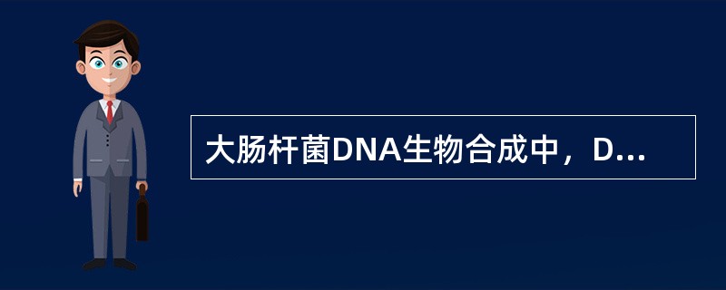 大肠杆菌DNA生物合成中，DNA聚合酶I主要起聚合作用。（）