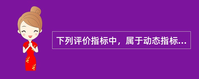 下列评价指标中，属于动态指标的是（）。