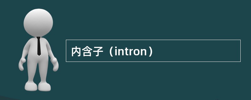 内含子（intron）