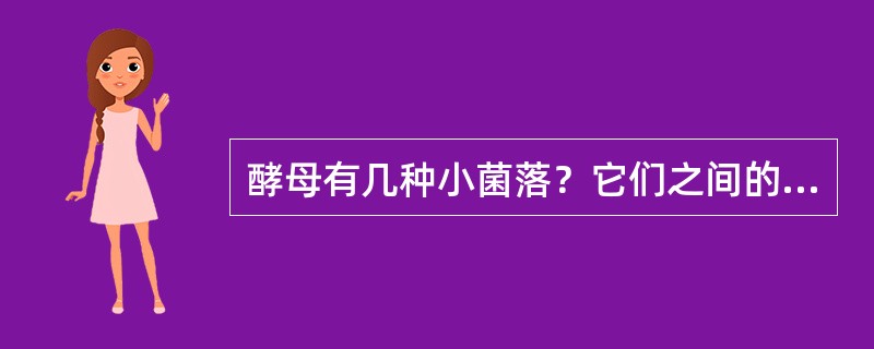 酵母有几种小菌落？它们之间的区别是什么？