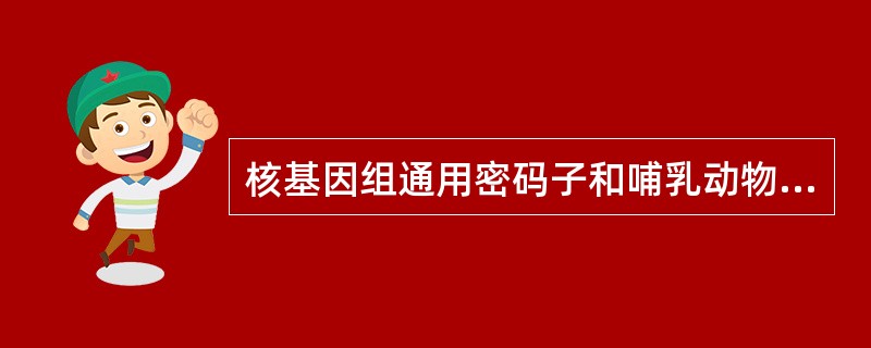 核基因组通用密码子和哺乳动物及真菌线粒体的遗传密码有什么不同？