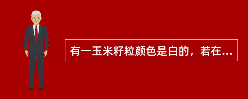 有一玉米籽粒颜色是白的，若在成熟期将它暴露于阳光下就变成红的。这种玉米籽粒颜色是