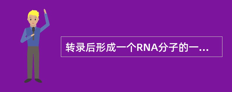 转录后形成一个RNA分子的一段DNA序列称为一个转录单位（transcrip u
