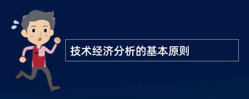 技术经济分析的基本原则