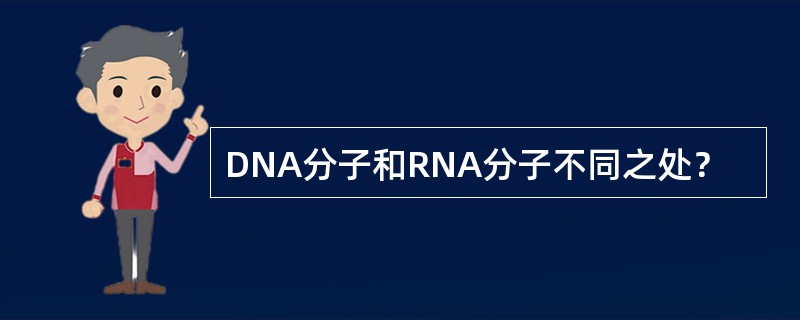 DNA分子和RNA分子不同之处？