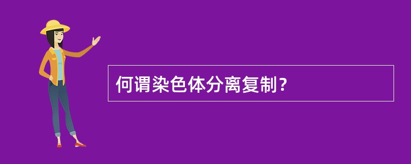 何谓染色体分离复制？