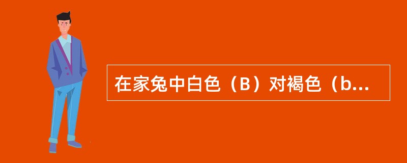 在家兔中白色（B）对褐色（b）为显性，短毛（L）对长毛（l）为显性，两对等位基因