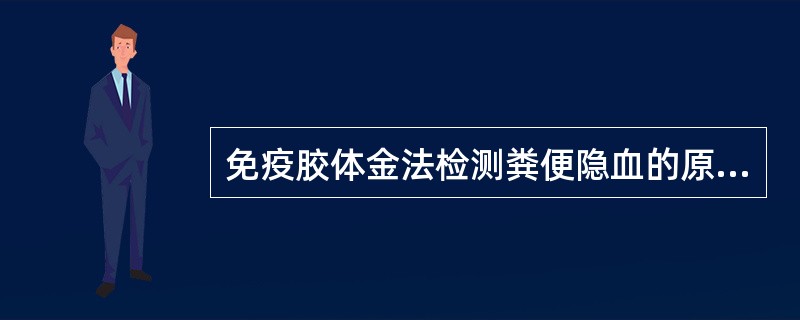 免疫胶体金法检测粪便隐血的原理是_______与抗人Hb或抗人红细胞基质的___