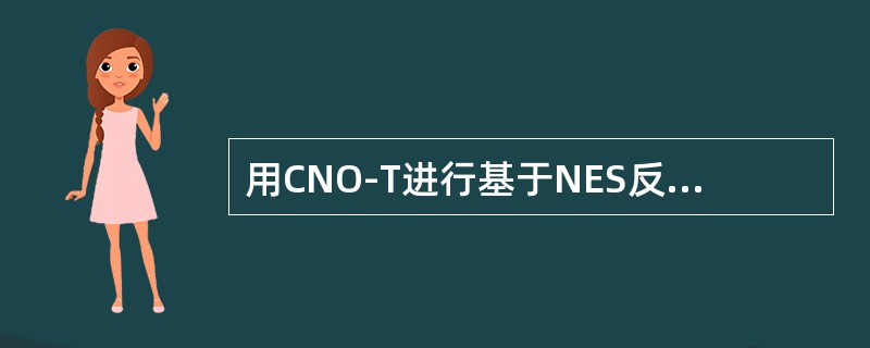 用CNO-T进行基于NES反向覆盖测试数据进行扰码优化时，要对扰码相关性进行设置