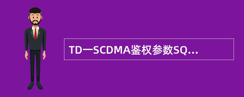 TD一SCDMA鉴权参数SQN说明正确的是（）.
