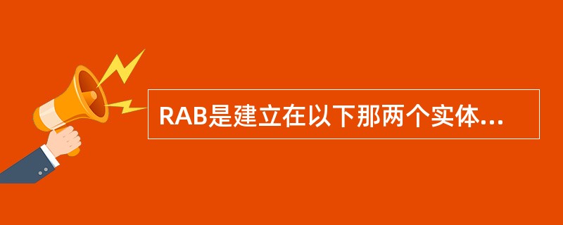 RAB是建立在以下那两个实体之间的（）