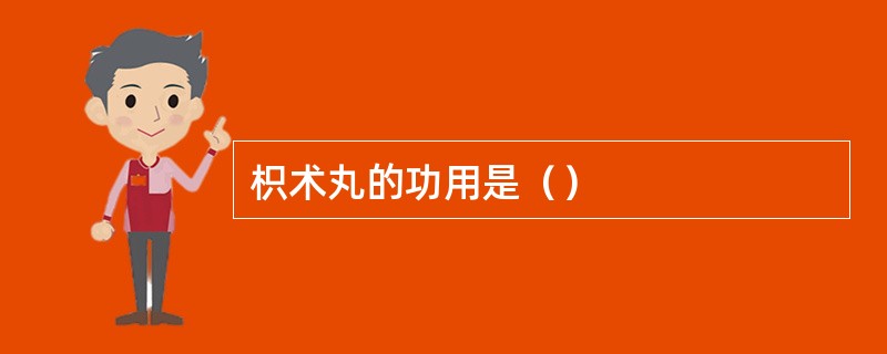 枳术丸的功用是（）