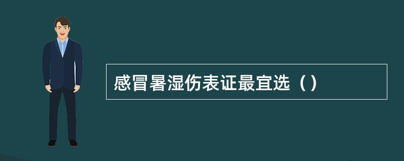 感冒暑湿伤表证最宜选（）